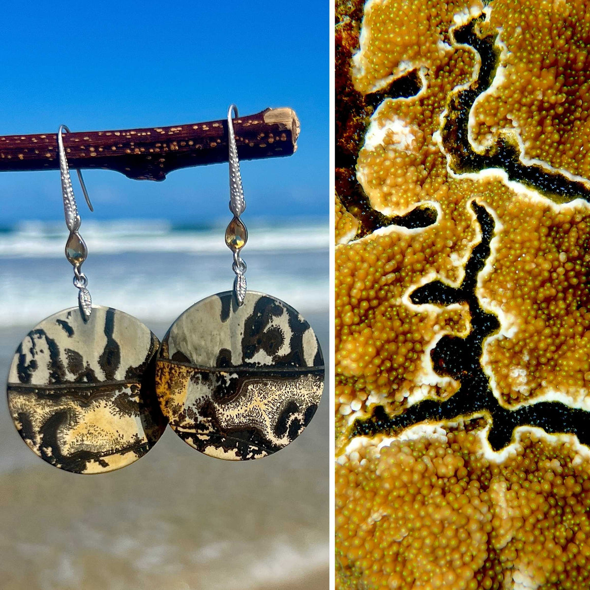 N°012 Statement Earrings - The Living Ocean Colour Collection