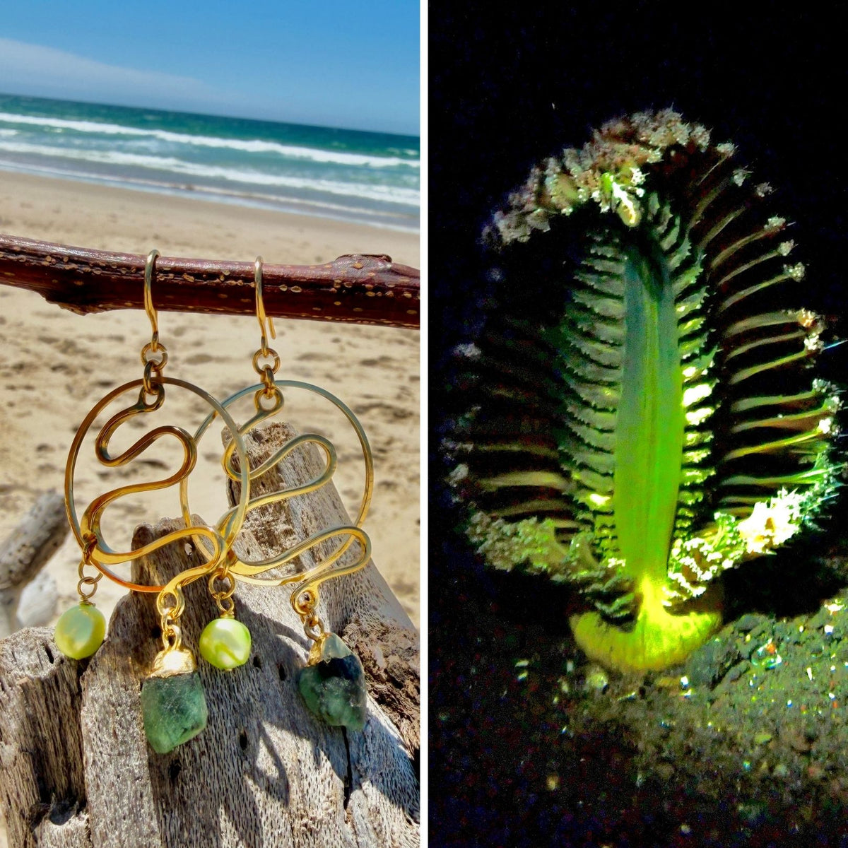 N°014 Statement Earrings - The Living Ocean Colour Collection