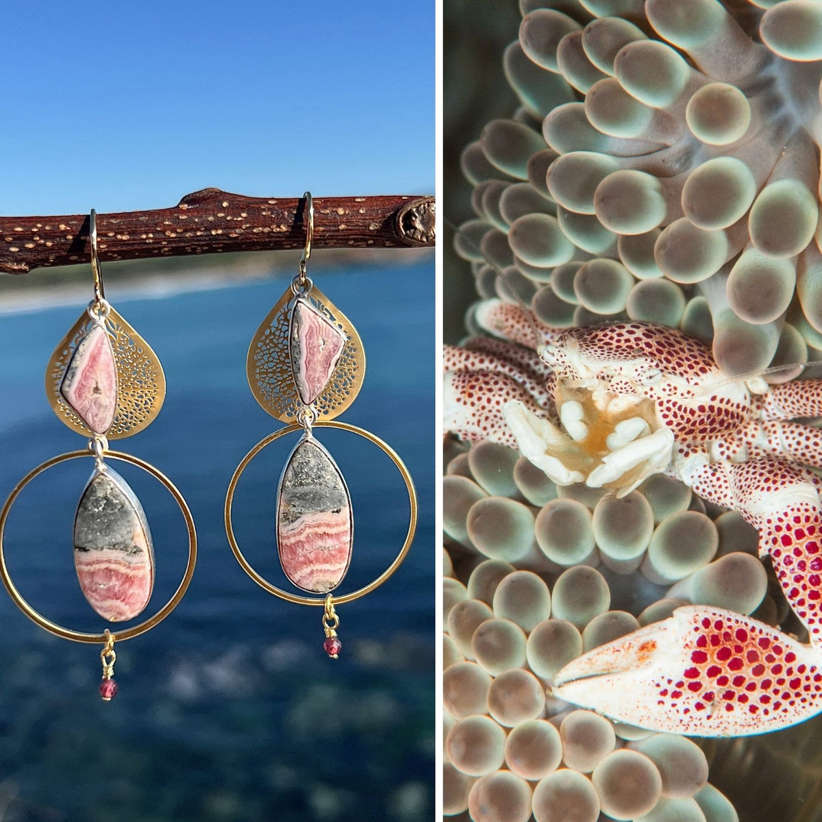 N°15 Christmas 2025 Special Earrings