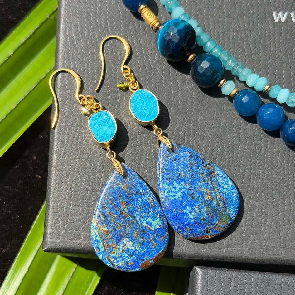 N°169 Christmas 2025 Special Set