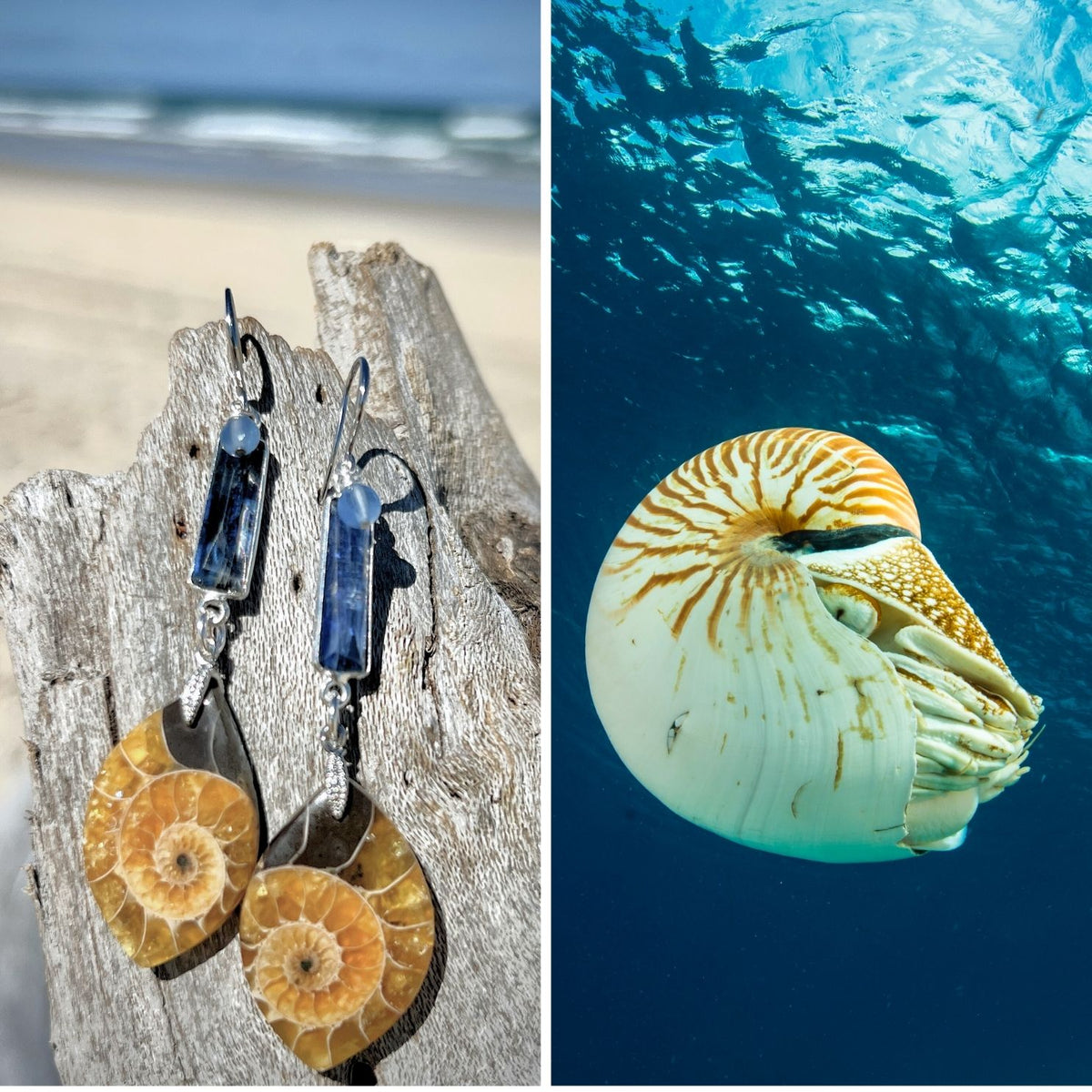 N°016 Statement Earrings - The Living Ocean Colour Collection