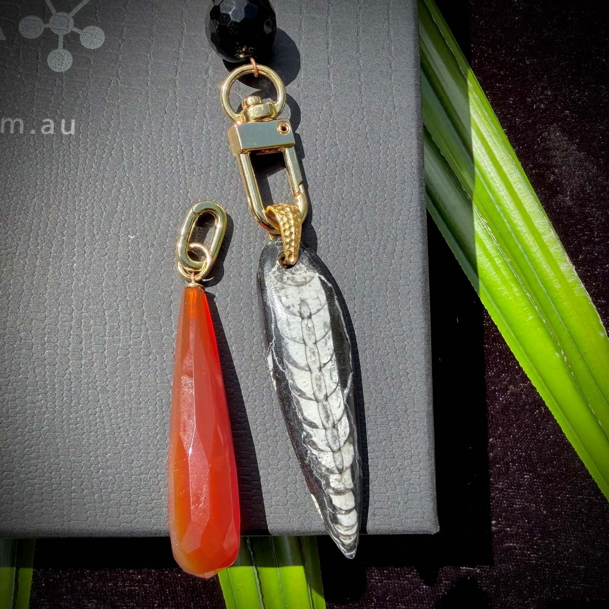 N°182 Christmas 2025 Special Set