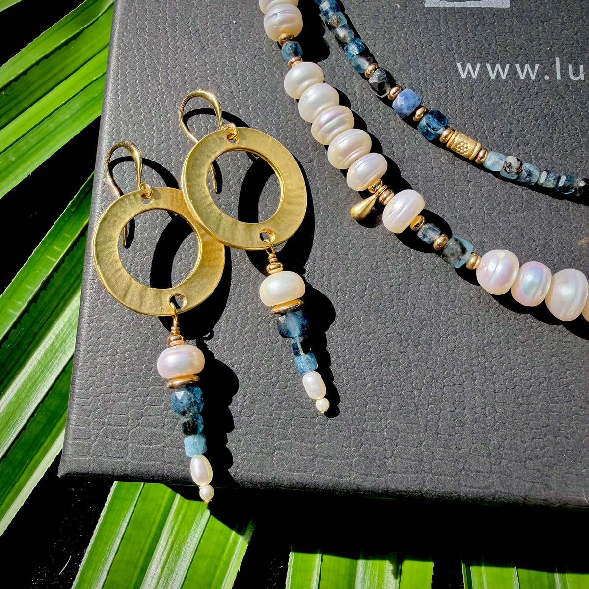 N°185 Christmas 2025 Special Set