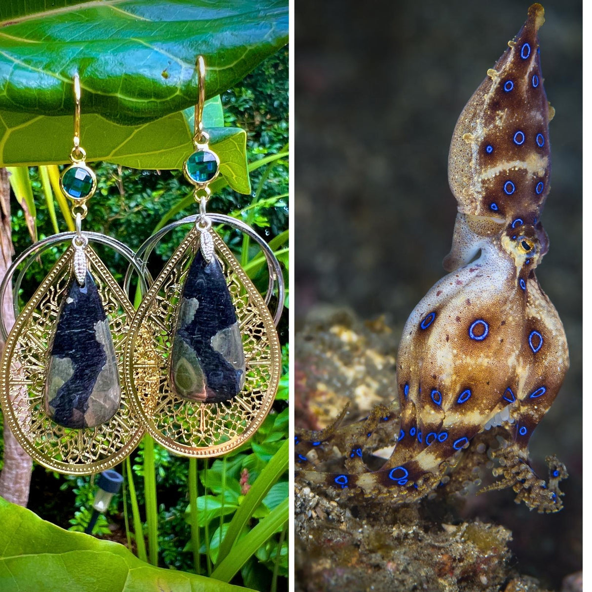 N°019 Statement Earrings - The Living Ocean Colour Collection