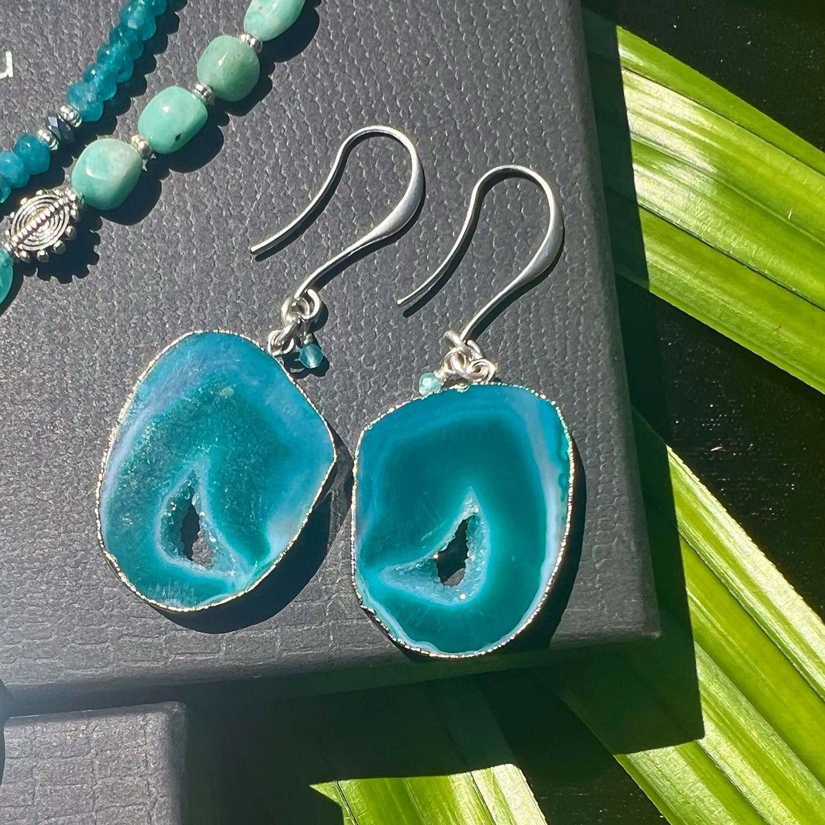 N°209 Christmas 2025 Special Set