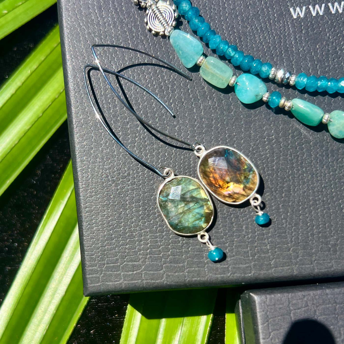 N°209 Christmas 2025 Special Set