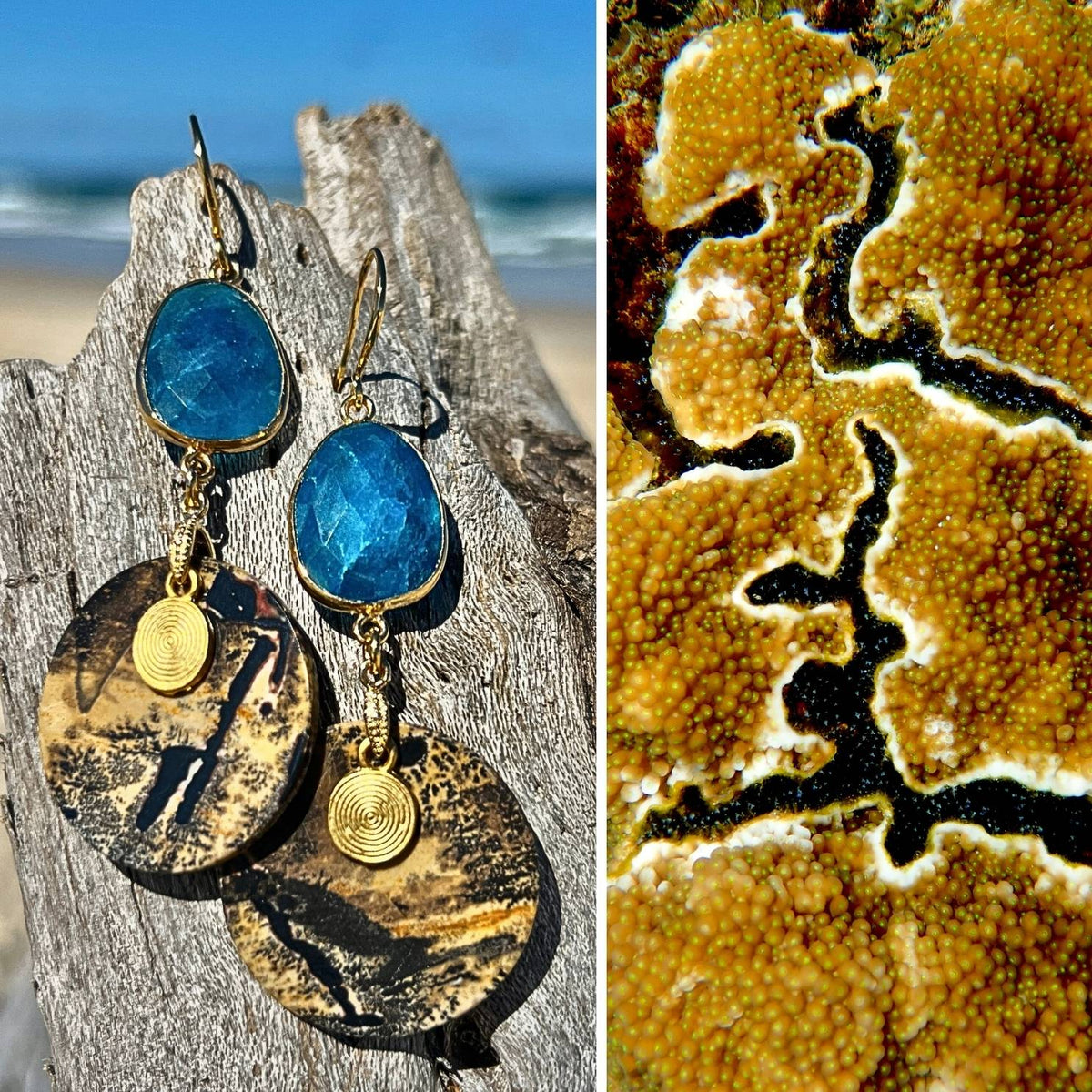N°022 Statement Earrings - The Living Ocean Colour Collection