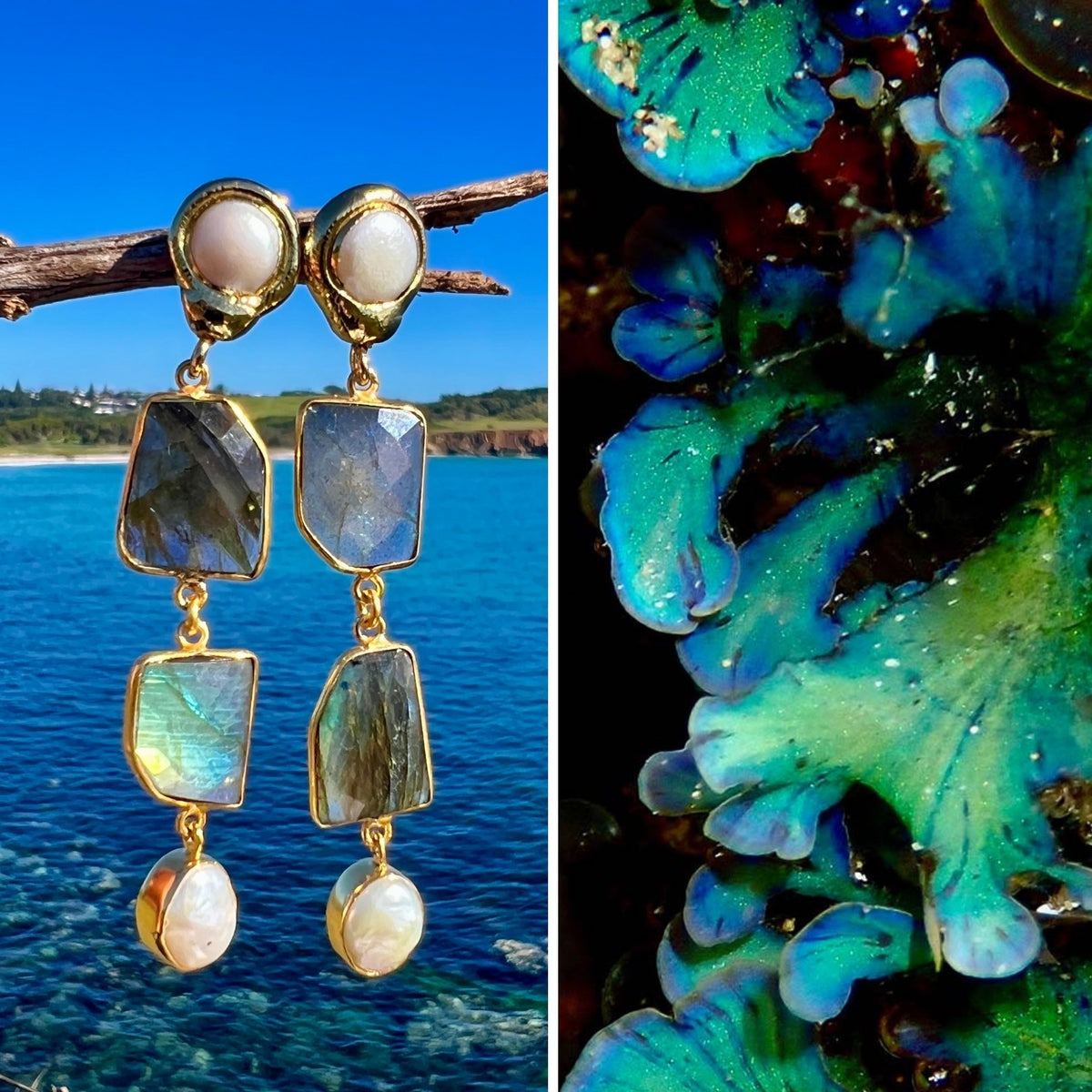 N°24 Christmas 2025 Special Earrings