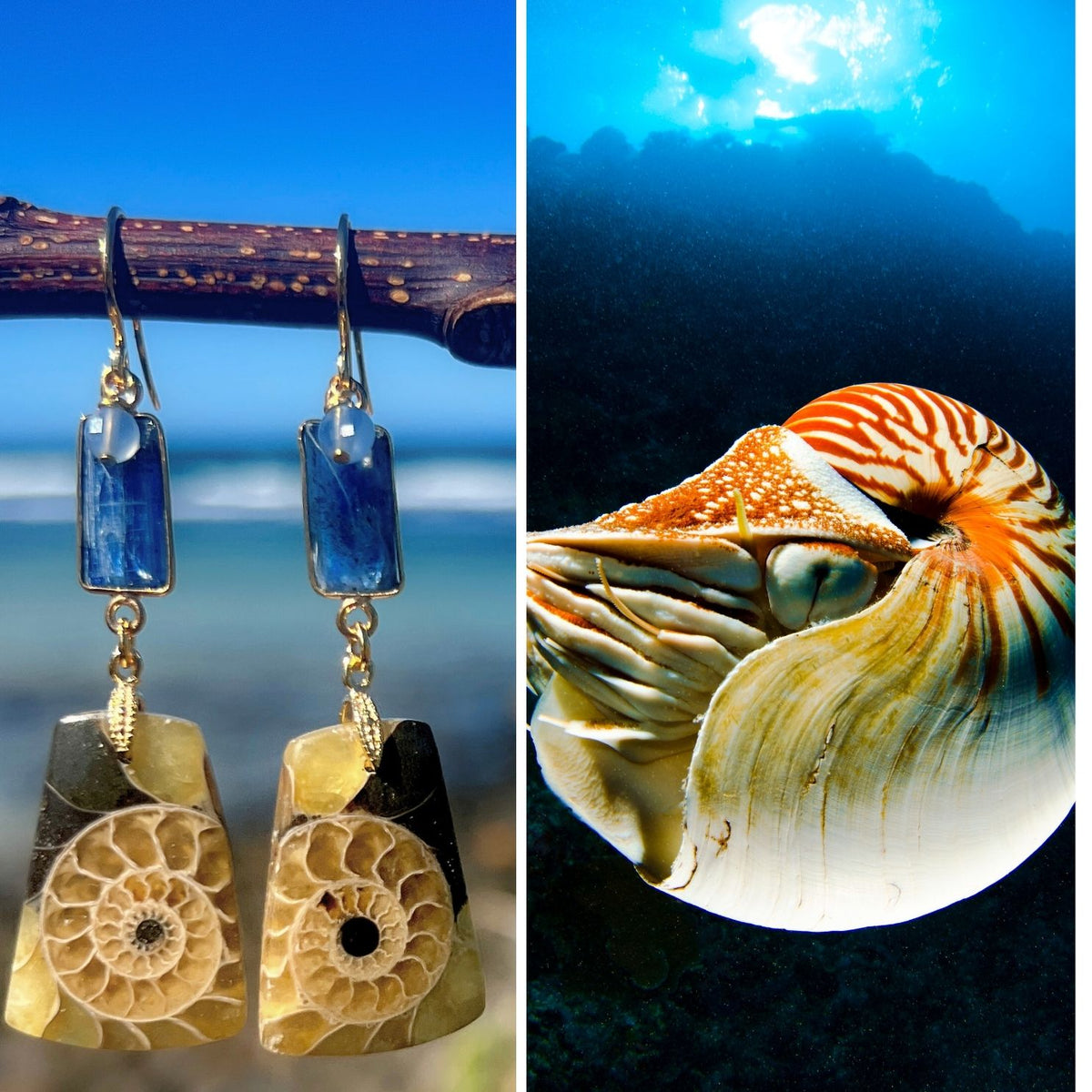 N°029 Statement Earrings - The Living Ocean Colour Collection