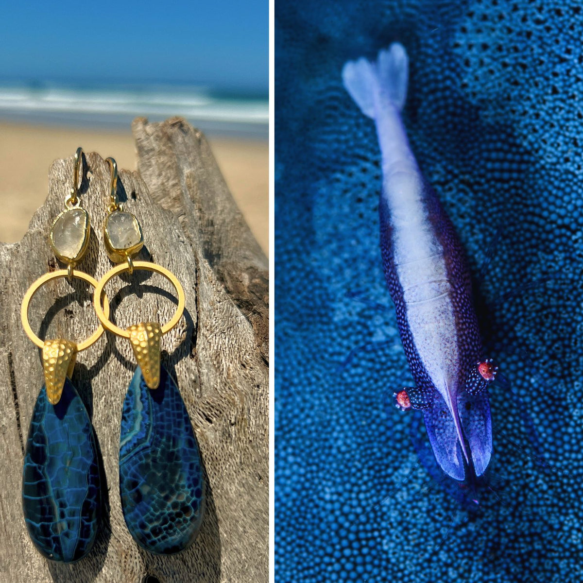 N°049 Statement Earrings - The Living Ocean Colour Collection