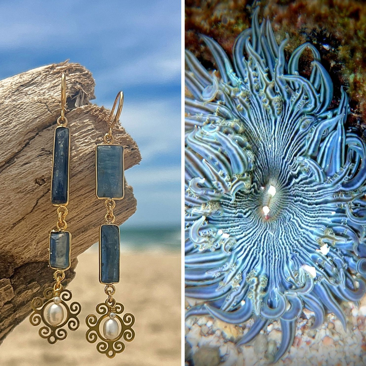N°061 Statement Earrings - The Living Ocean Colour Collection
