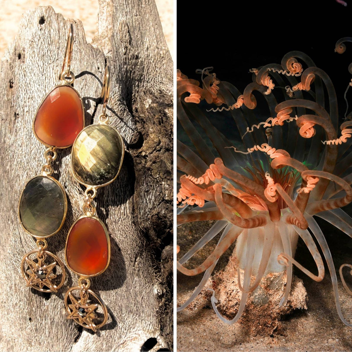 N°064 Statement Earrings - The Living Ocean Colour Collection