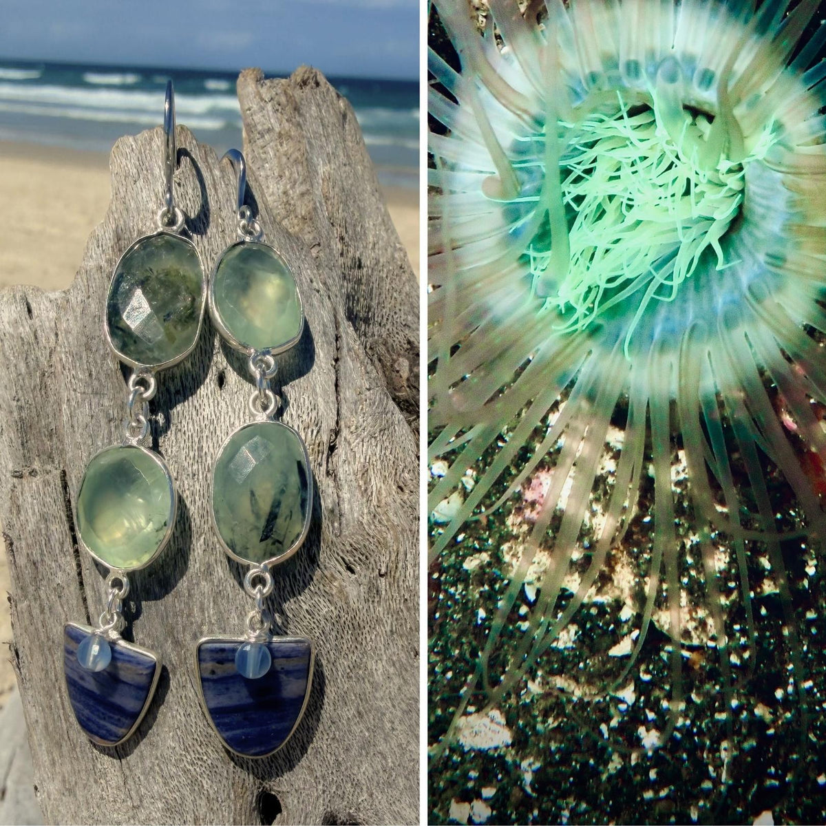 N°065 Statement Earrings - The Living Ocean Colour Collection