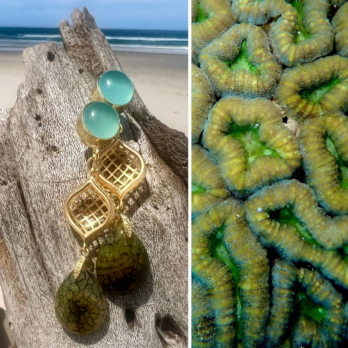 N°67 Christmas 2025 Special Earrings