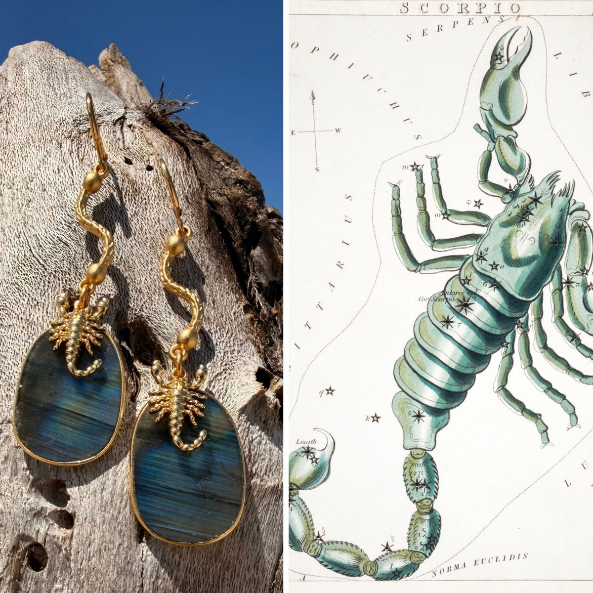 N°78 Christmas 2025 Special Earrings