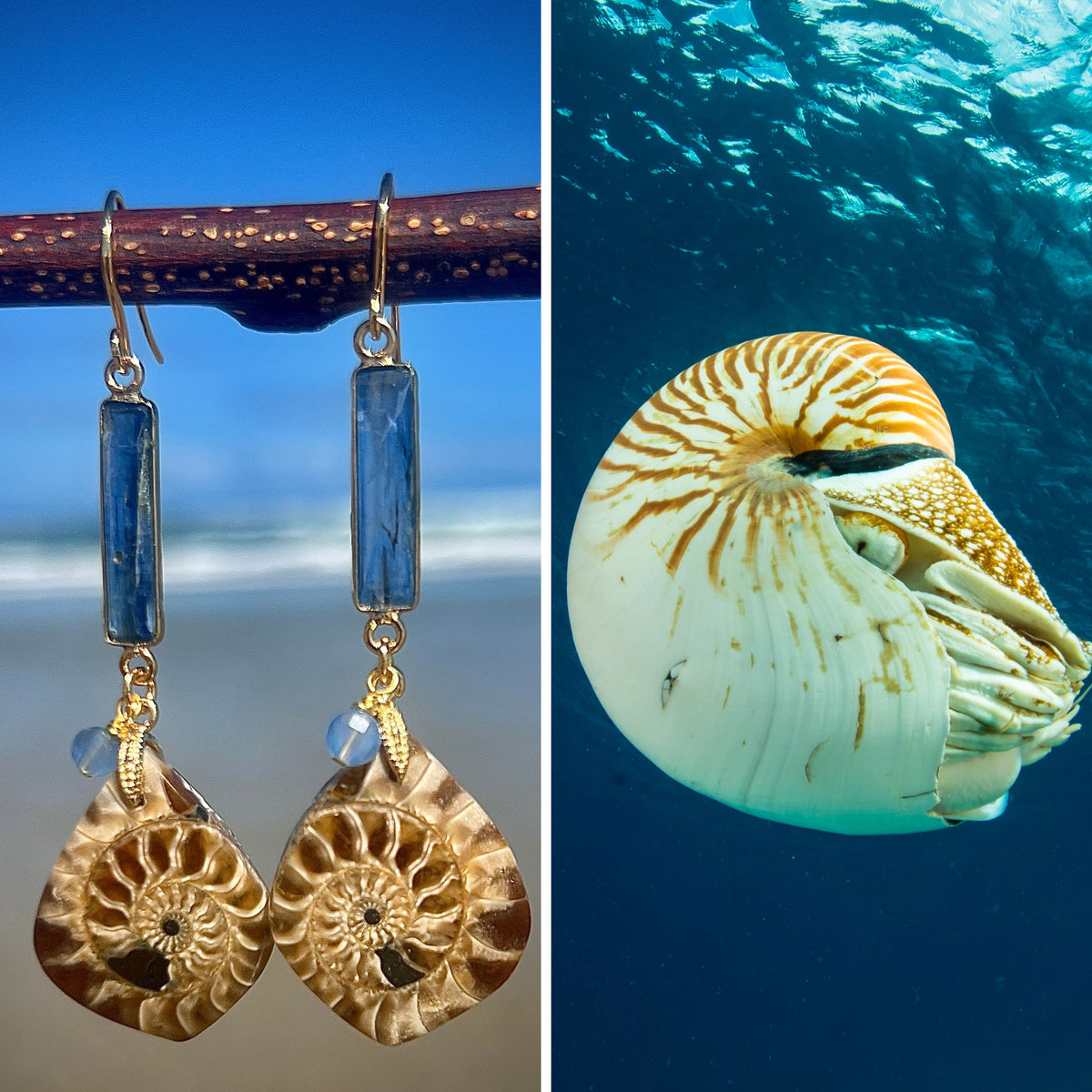 N°079 Statement Earrings - The Living Ocean Colour Collection