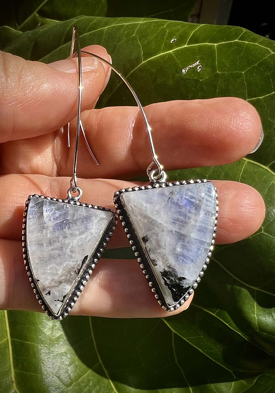 N°62 Christmas 2024 Special Set