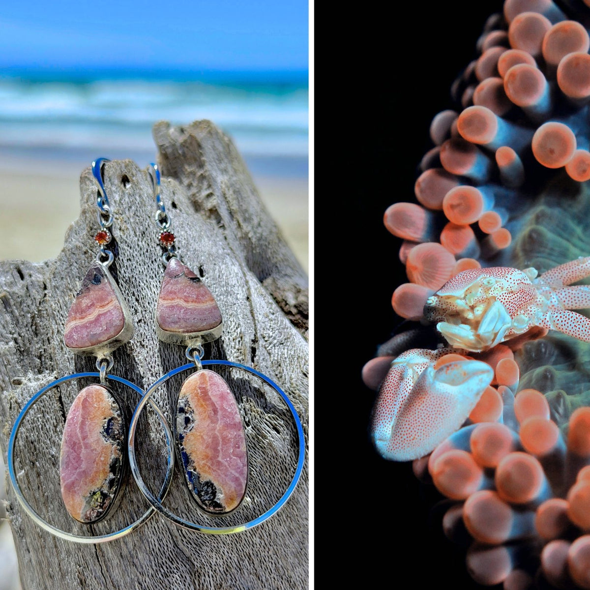 N°076 Statement Earrings - The Living Ocean Colour Collection