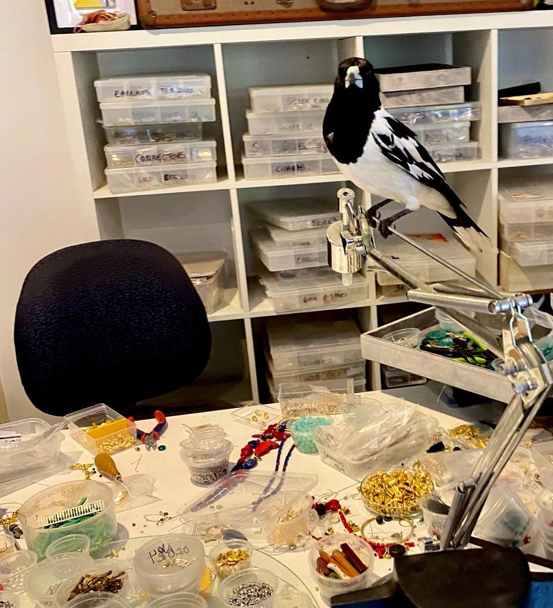 N°181 Christmas 2025 Special Set