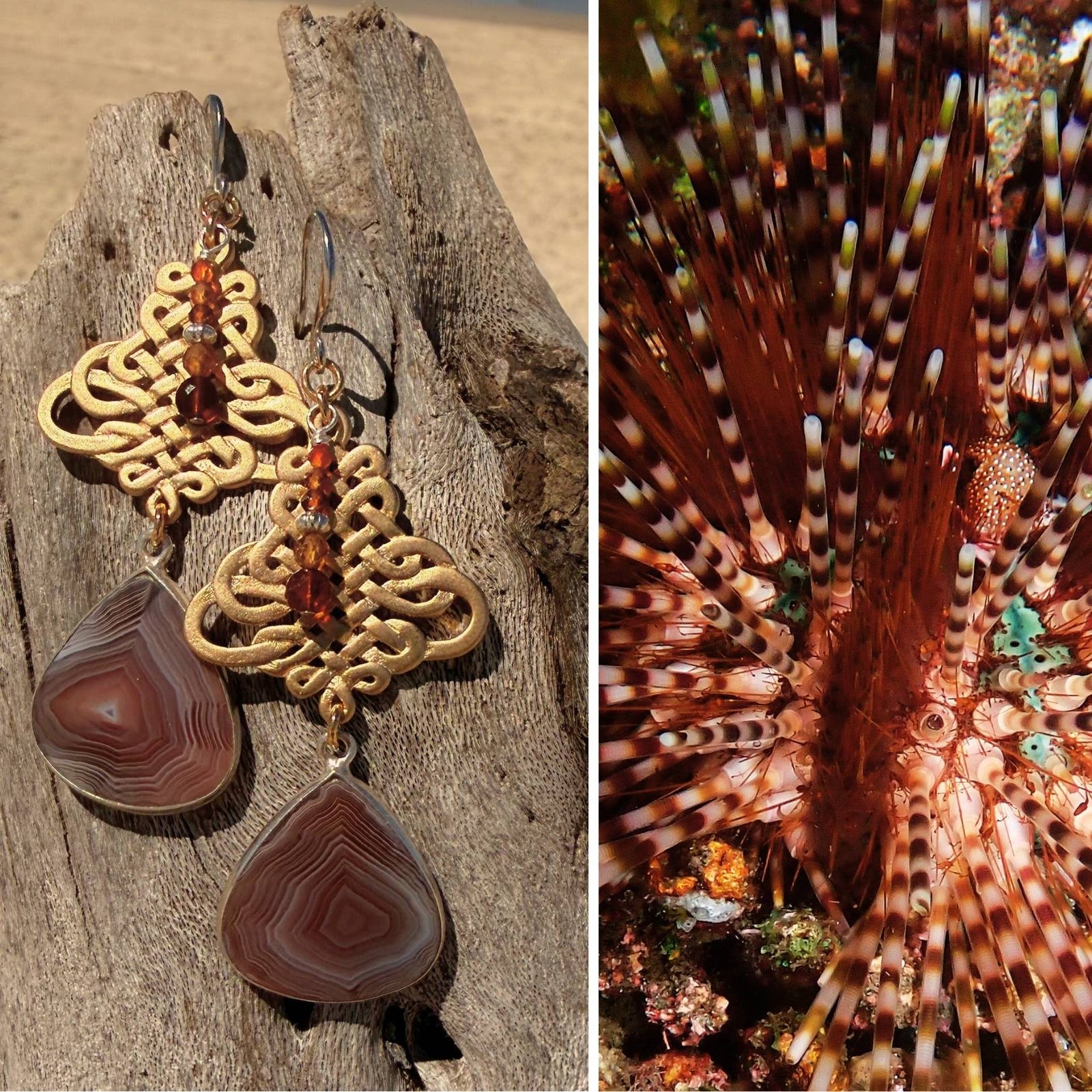 N°100 Statement Earrings - The Living Ocean Colour Collection