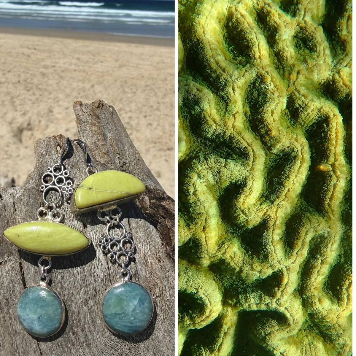 N°101 Statement Earrings - The Living Ocean Colour Collection