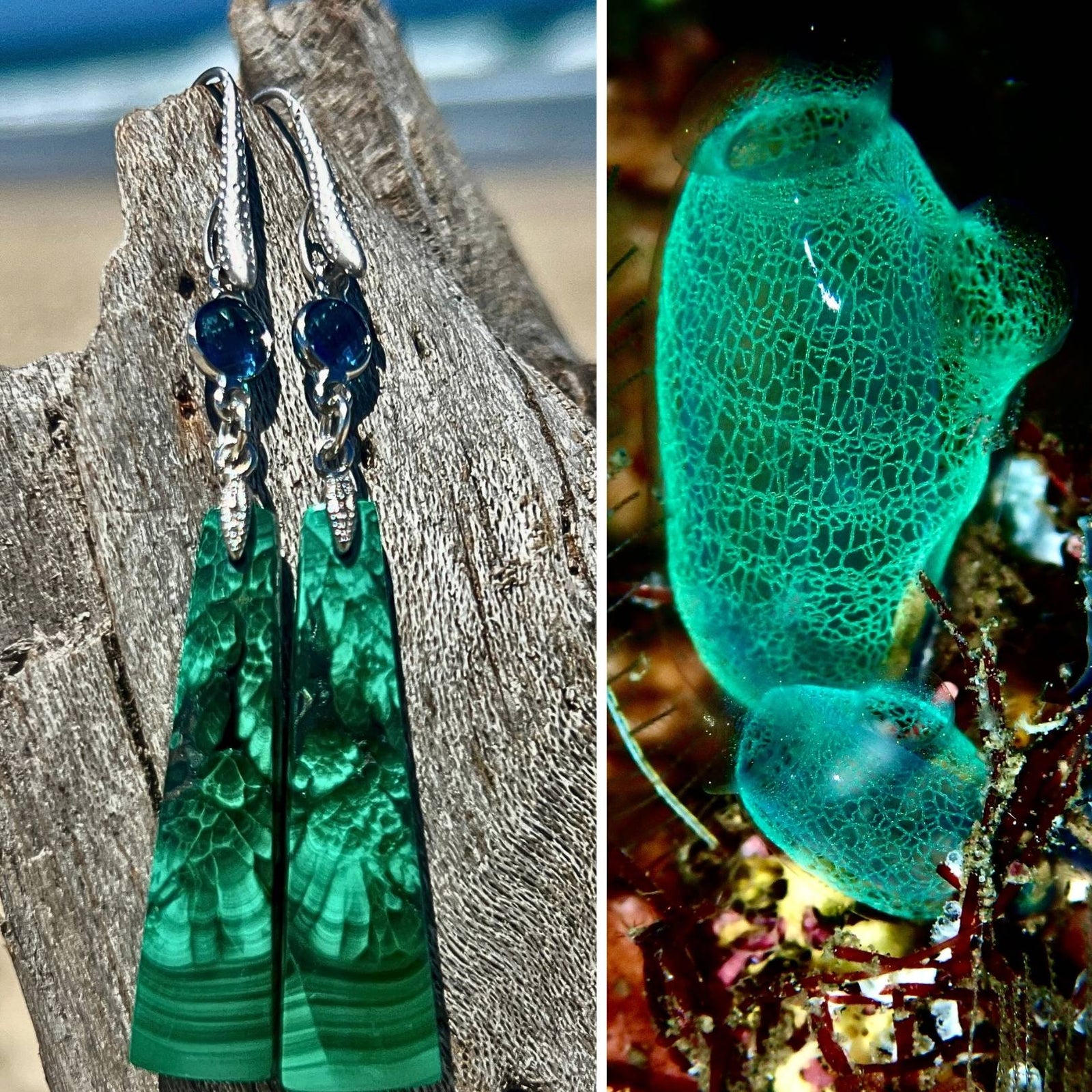 N°106 Statement Earrings - The Living Ocean Colour Collection