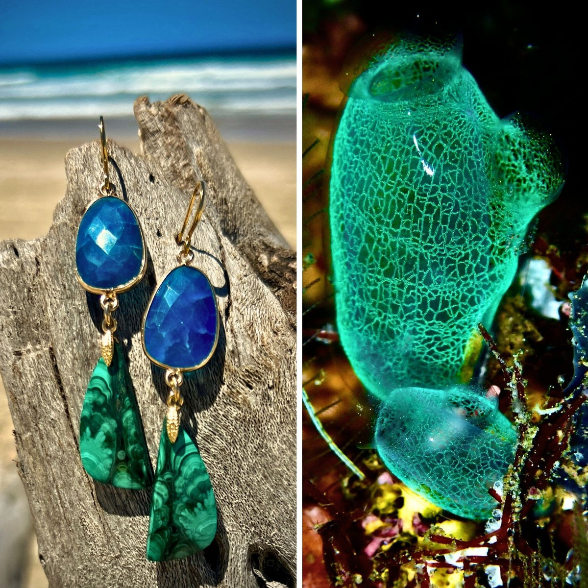 N°110 Statement Earrings - The Living Ocean Colour Collection