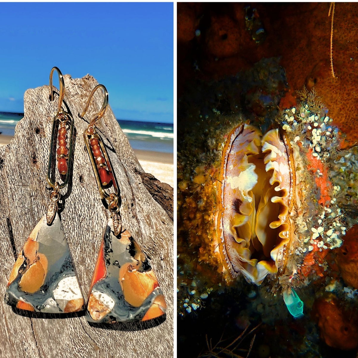 N°113 Statement Earrings - The Living Ocean Colour Collection