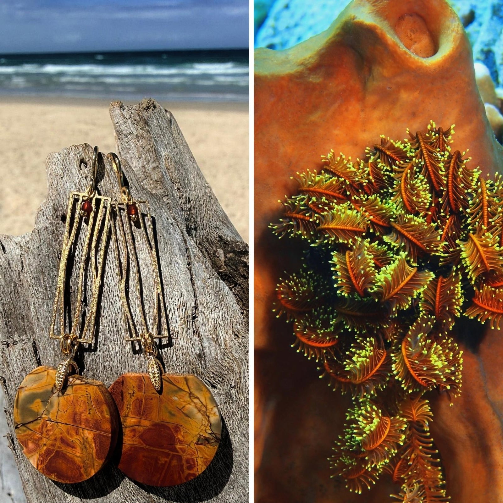 N°116 Statement Earrings - The Living Ocean Colour Collection