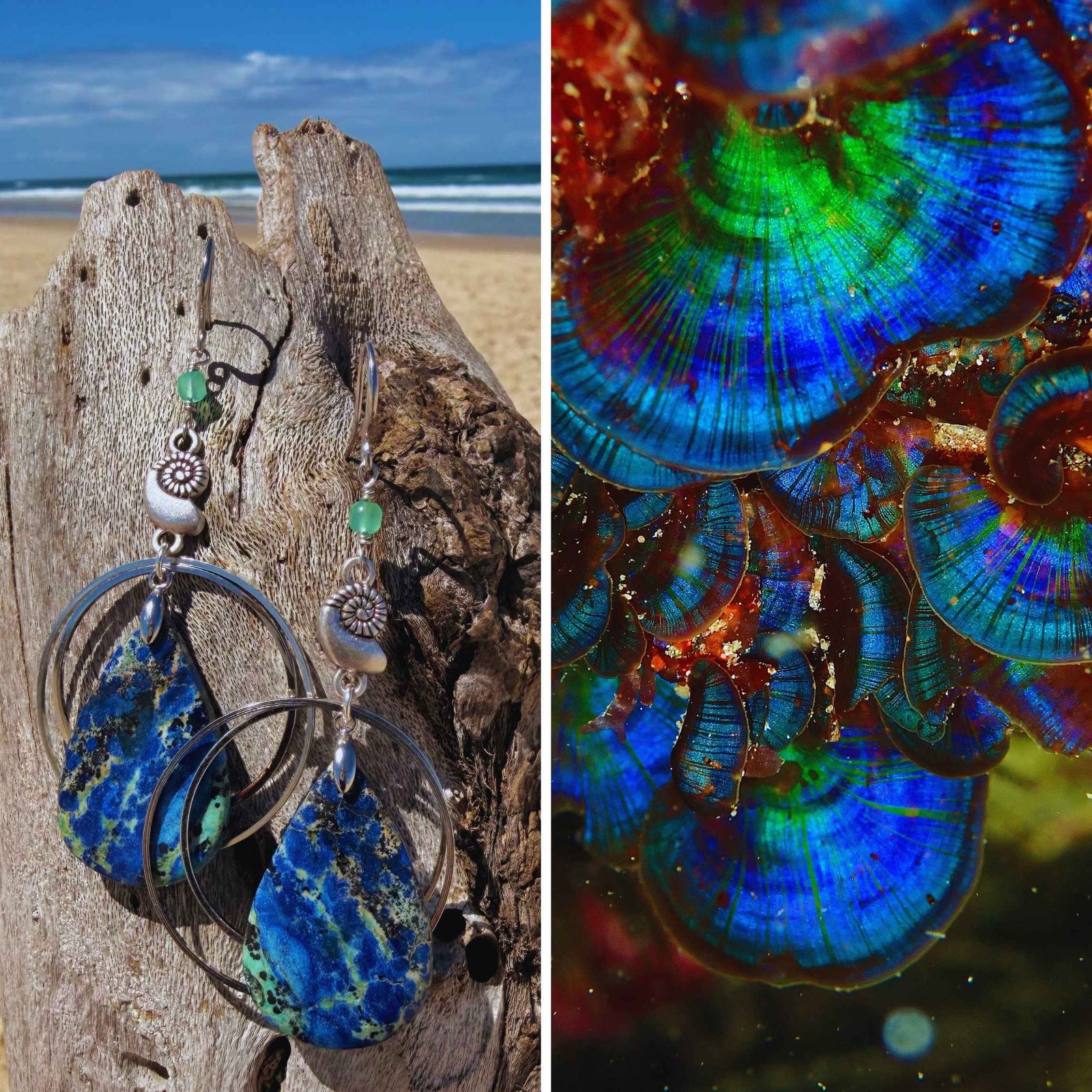 N°118 Statement Earrings - The Living Ocean Colour Collection