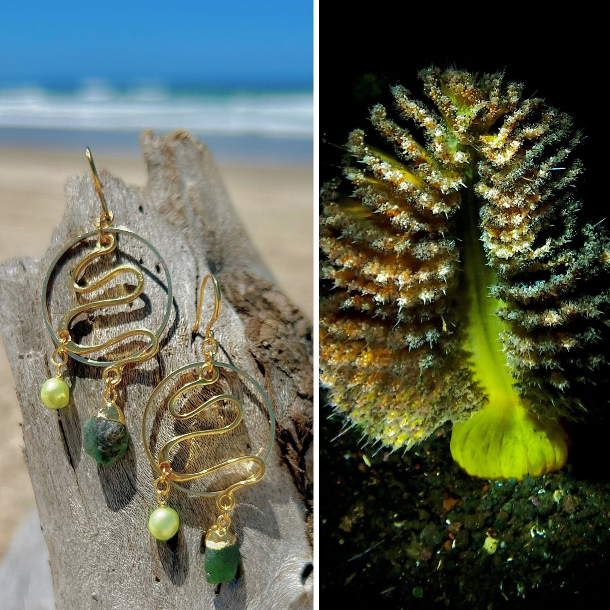 N°014 Statement Earrings - The Living Ocean Colour Collection