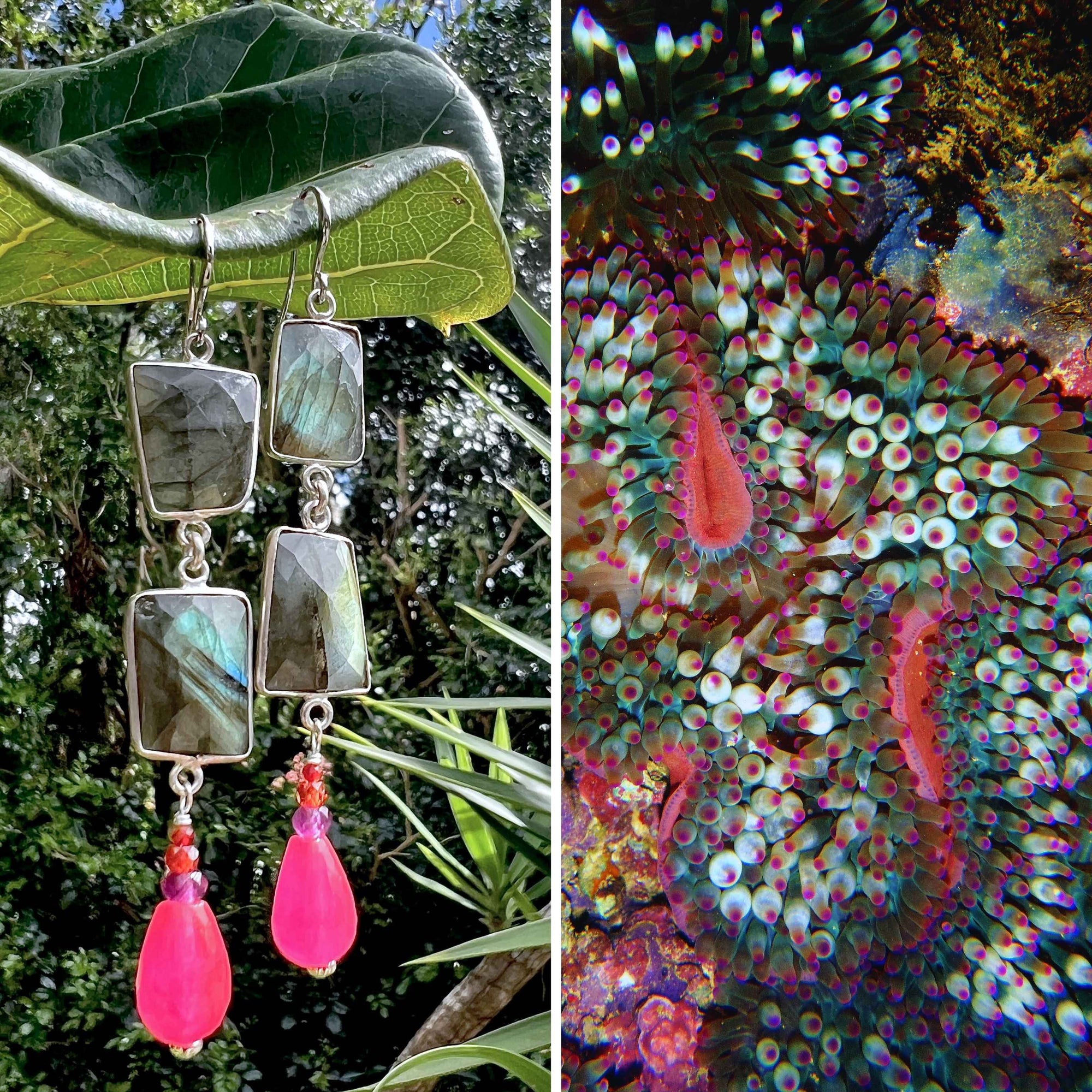 N°017 Statement Earrings - The Vanuatu Collection