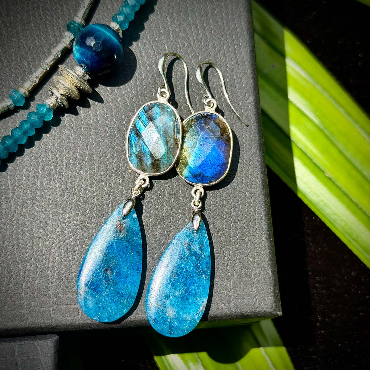 N°196 Christmas 2025 Special Set