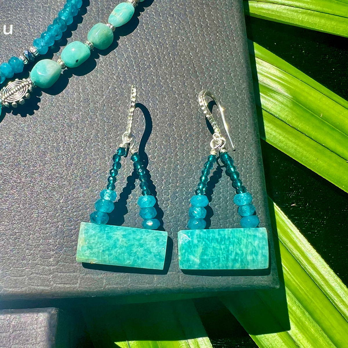 N°209 Christmas 2025 Special Set