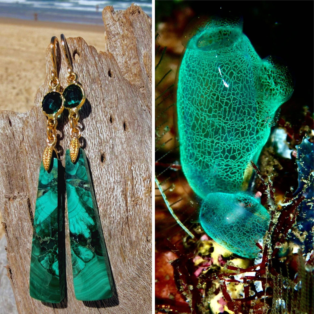 N°027 Statement Earrings - The Living Ocean Colour Collection