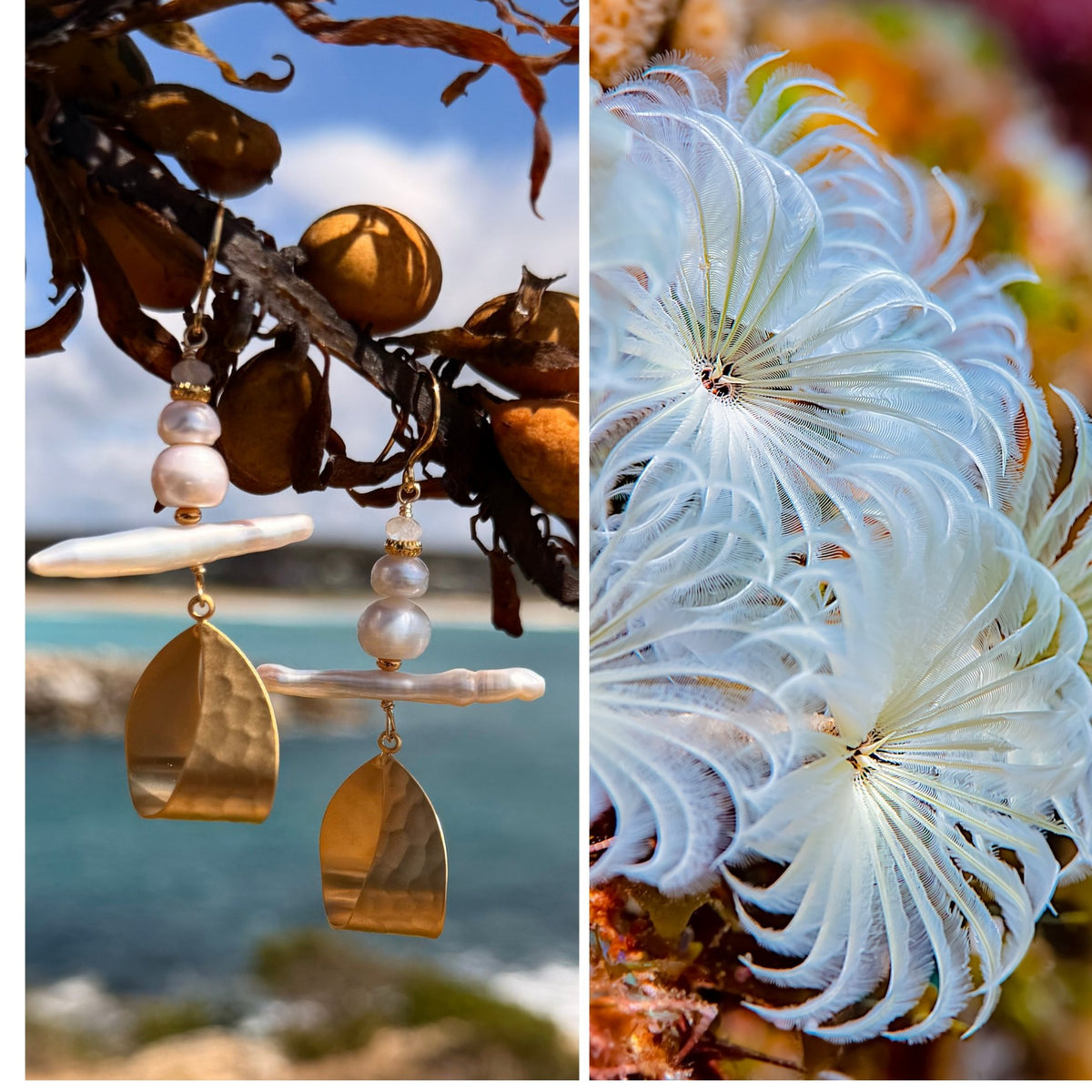 N°29 Christmas 2025 Special Earrings