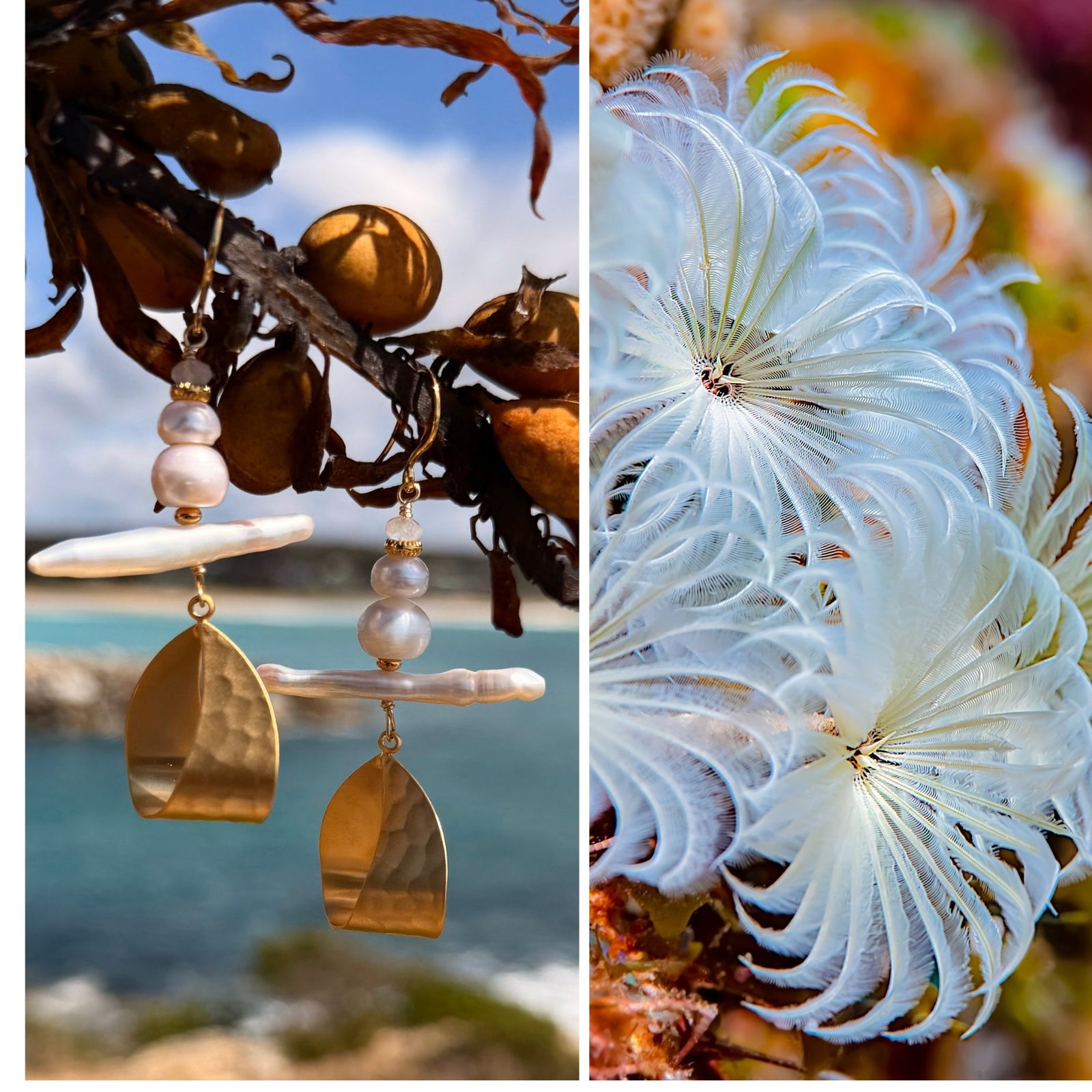 N°29 Christmas 2025 Special Earrings