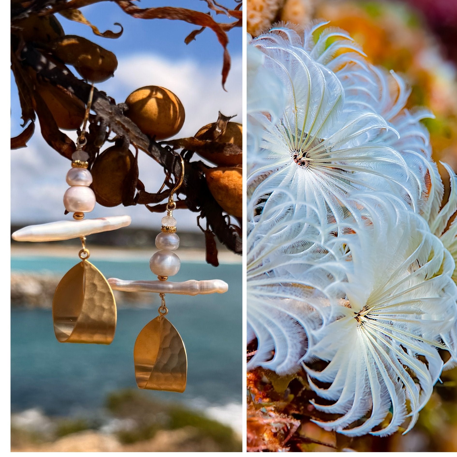 N°29 Christmas 2025 Special Earrings