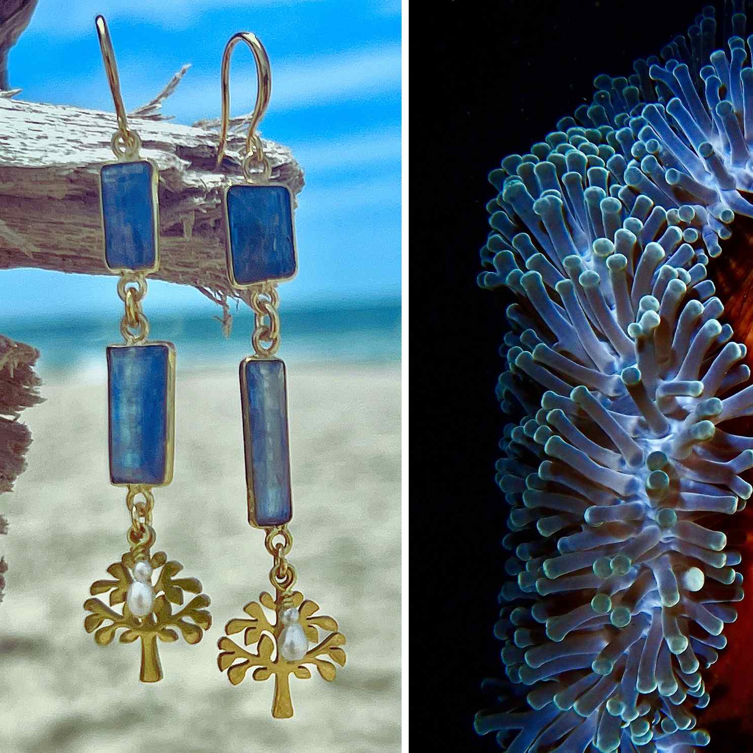 N°032 Statement Earrings - The Living Ocean Colour Collection