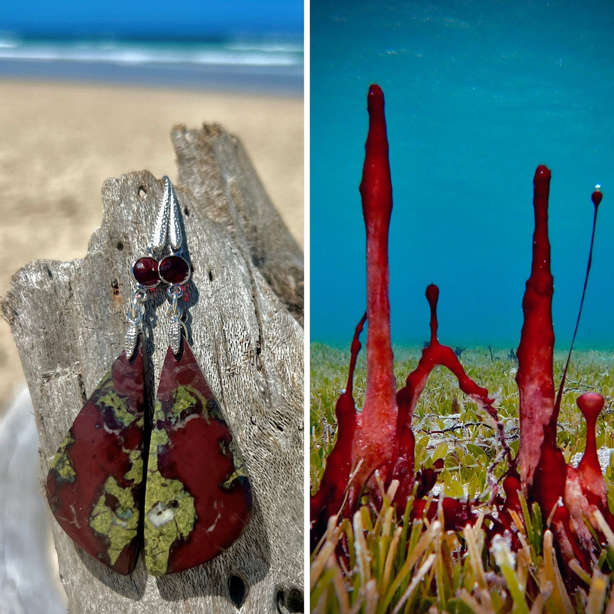 N°033 Statement Earrings - The Living Ocean Colour Collection