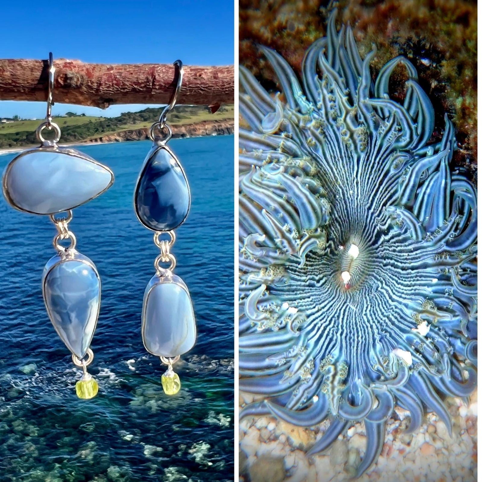 N°37 Christmas 2025 Special Earrings