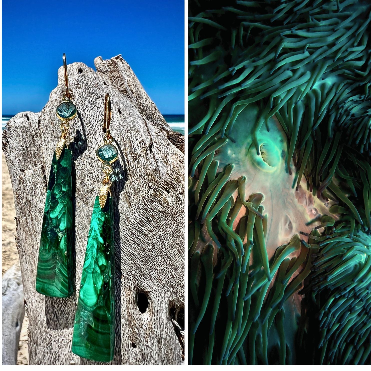 N°037 Statement Earrings - The Living Ocean Colour Collection