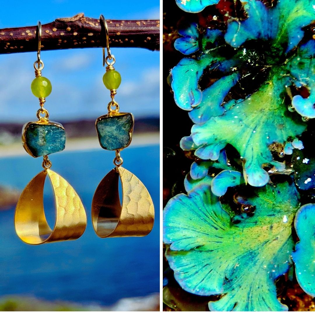 N°38 Christmas 2025 Special Earrings
