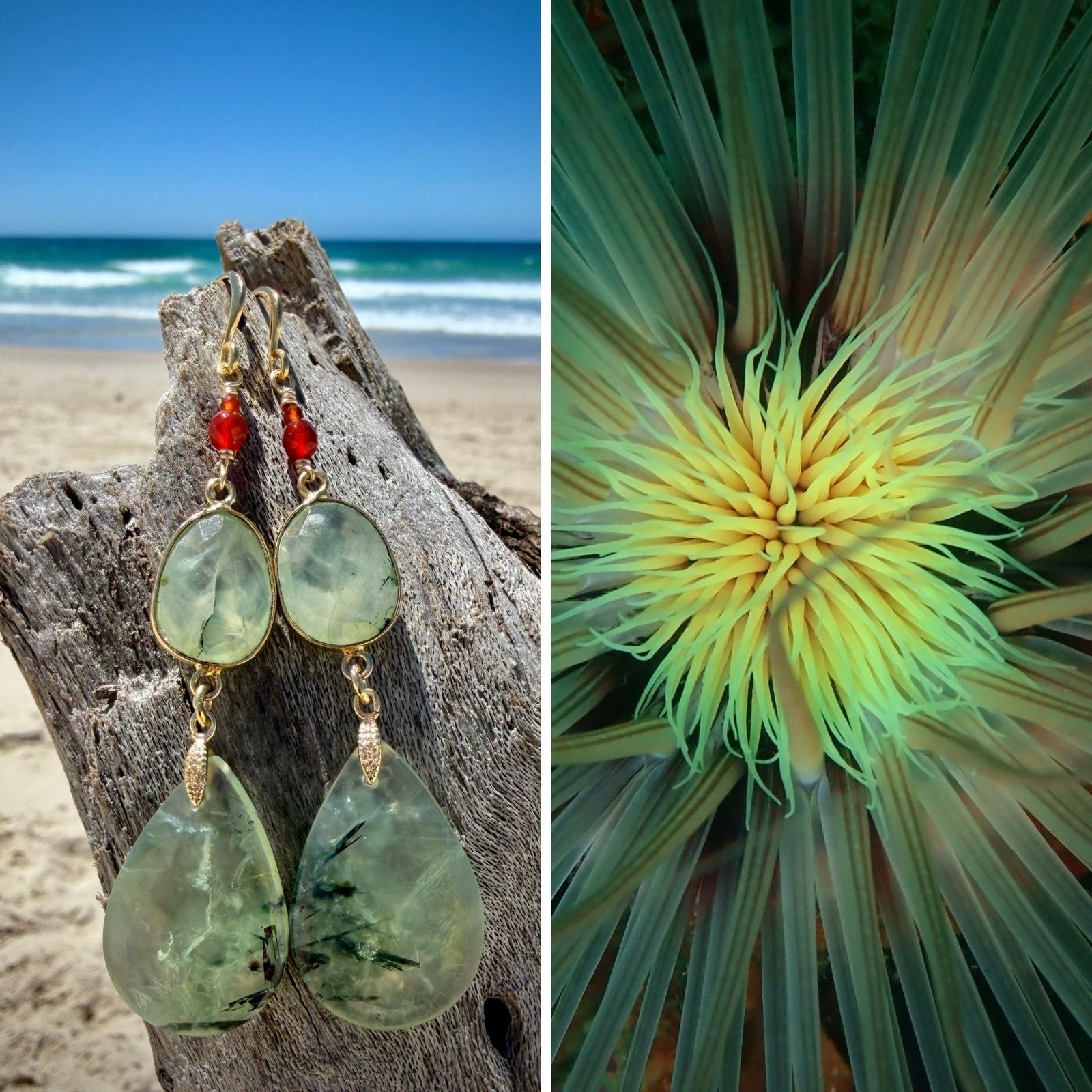 N°044 Statement Earrings - The Living Ocean Colour Collection