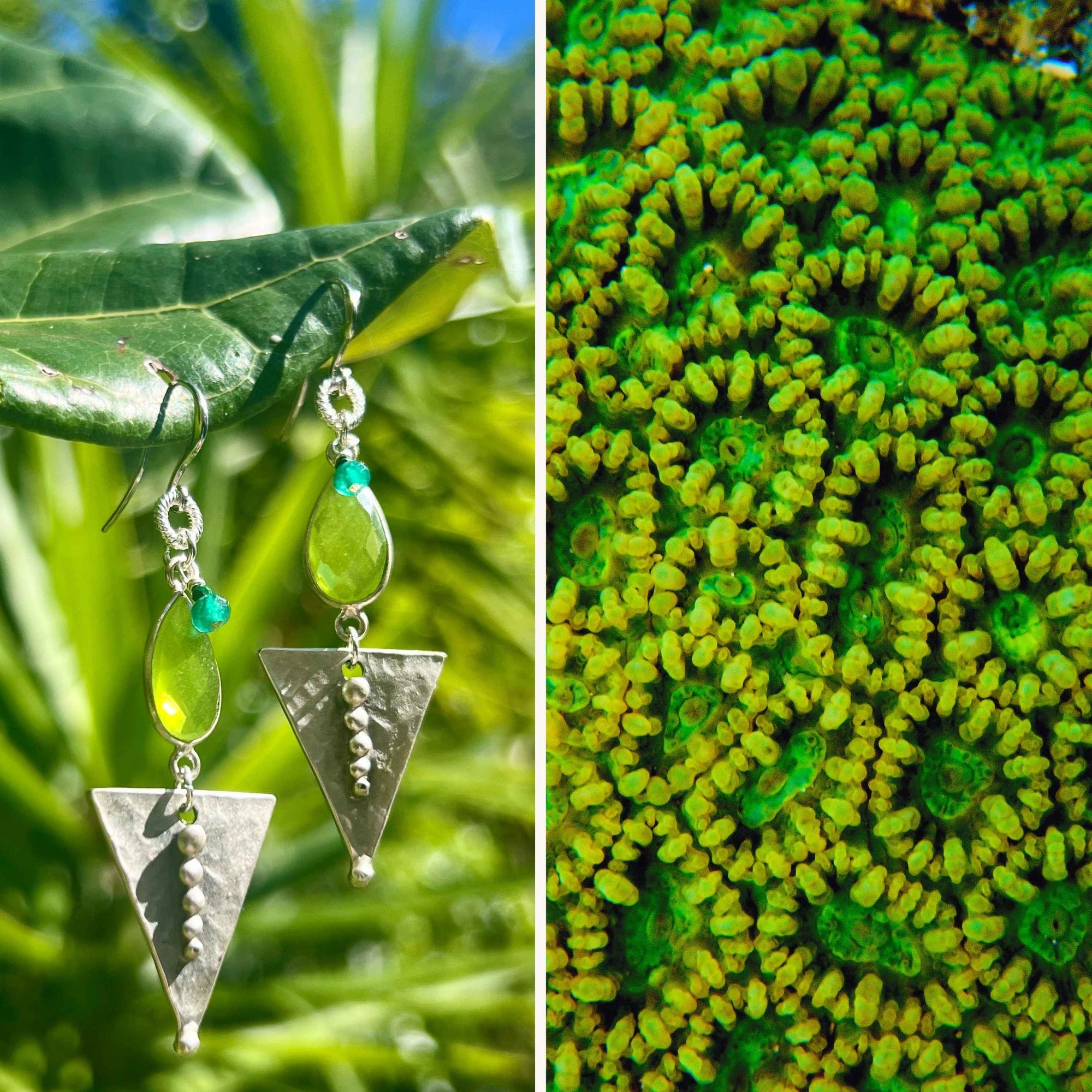 N°044 Statement Earrings - The Vanuatu Collection