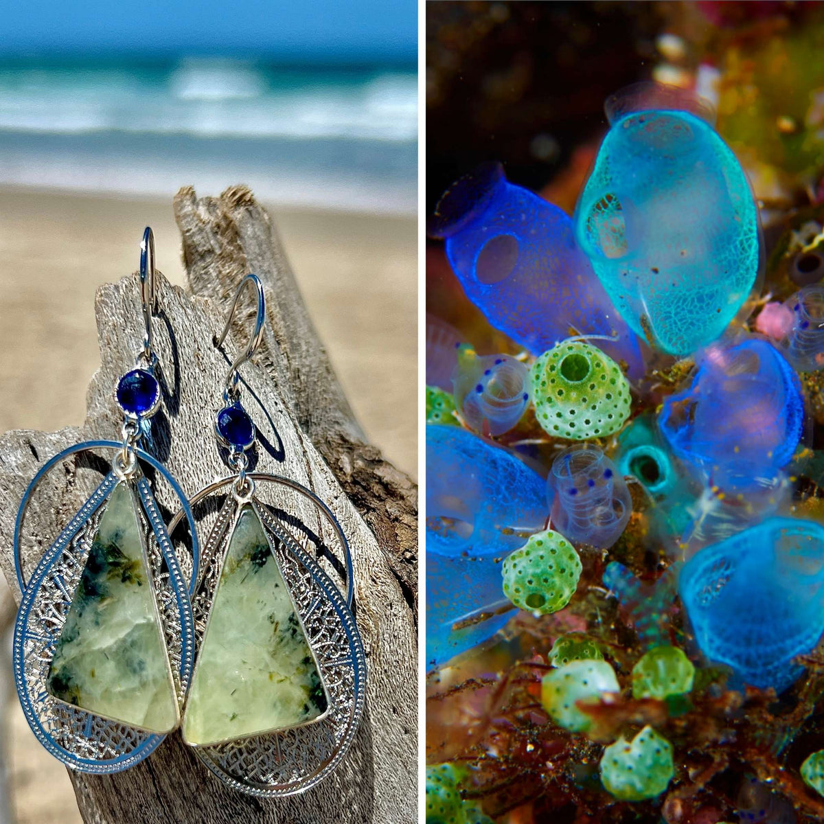 N°048 Statement Earrings - The Living Ocean Colour Collection