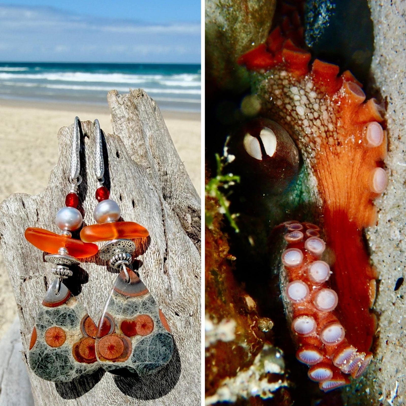 N°004 Statement Earrings - The Living Ocean Colour Collection