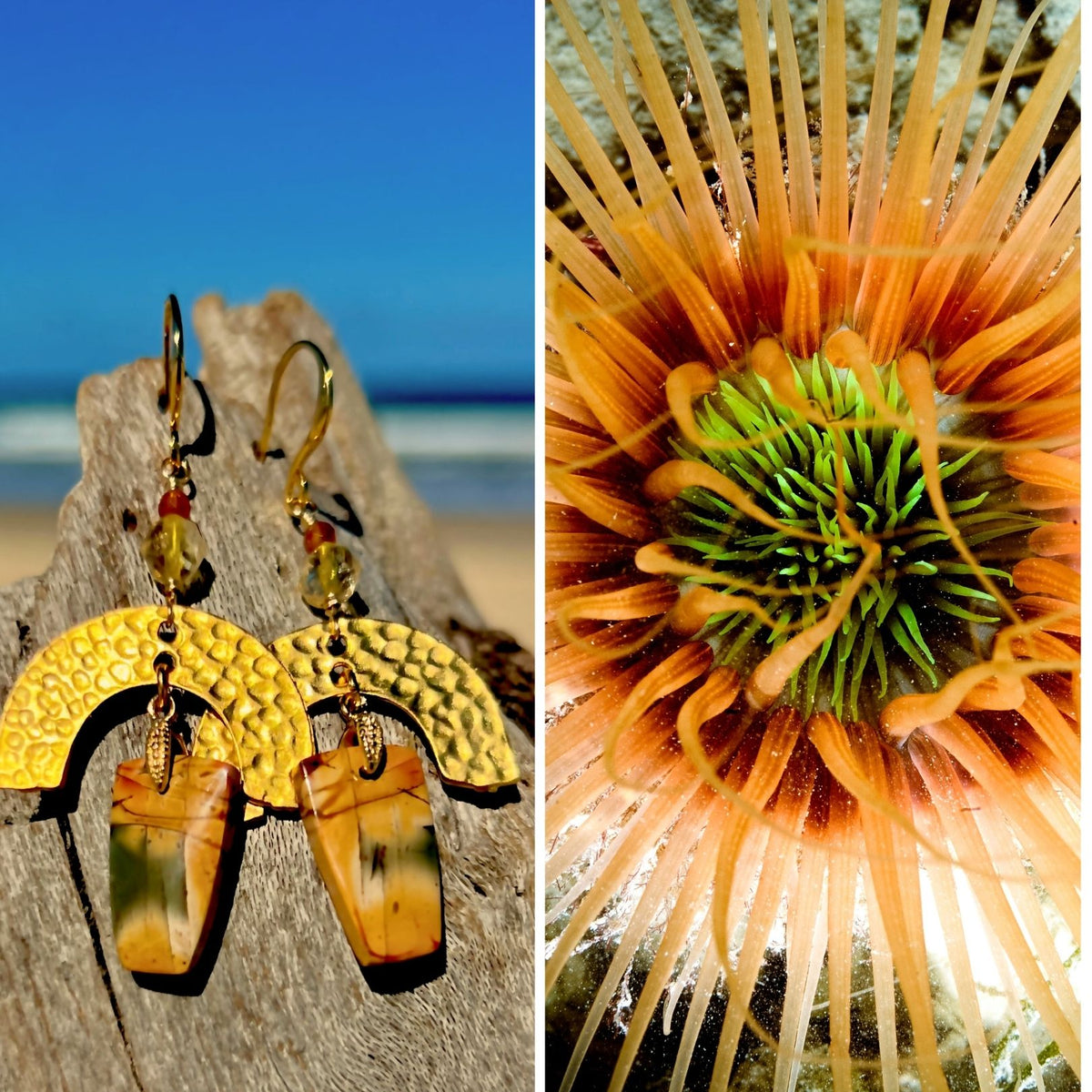 N°052 Statement Earrings - The Living Ocean Colour Collection