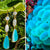 N°056 Statement Earrings - The Vanuatu Collection