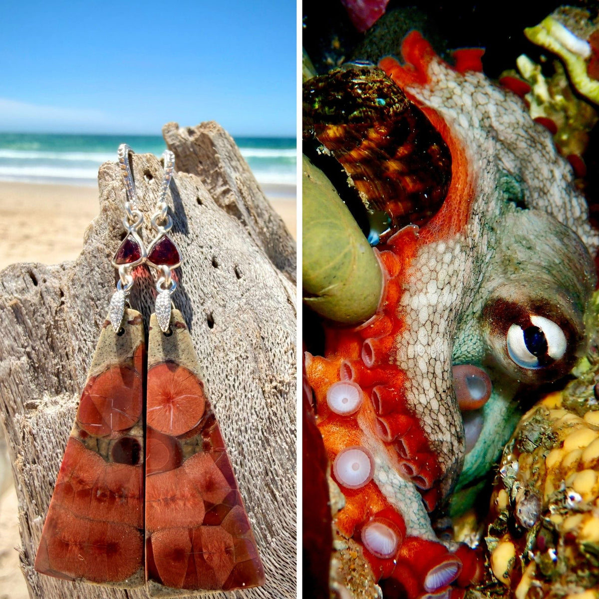 N°063 Statement Earrings - The Living Ocean Colour Collection